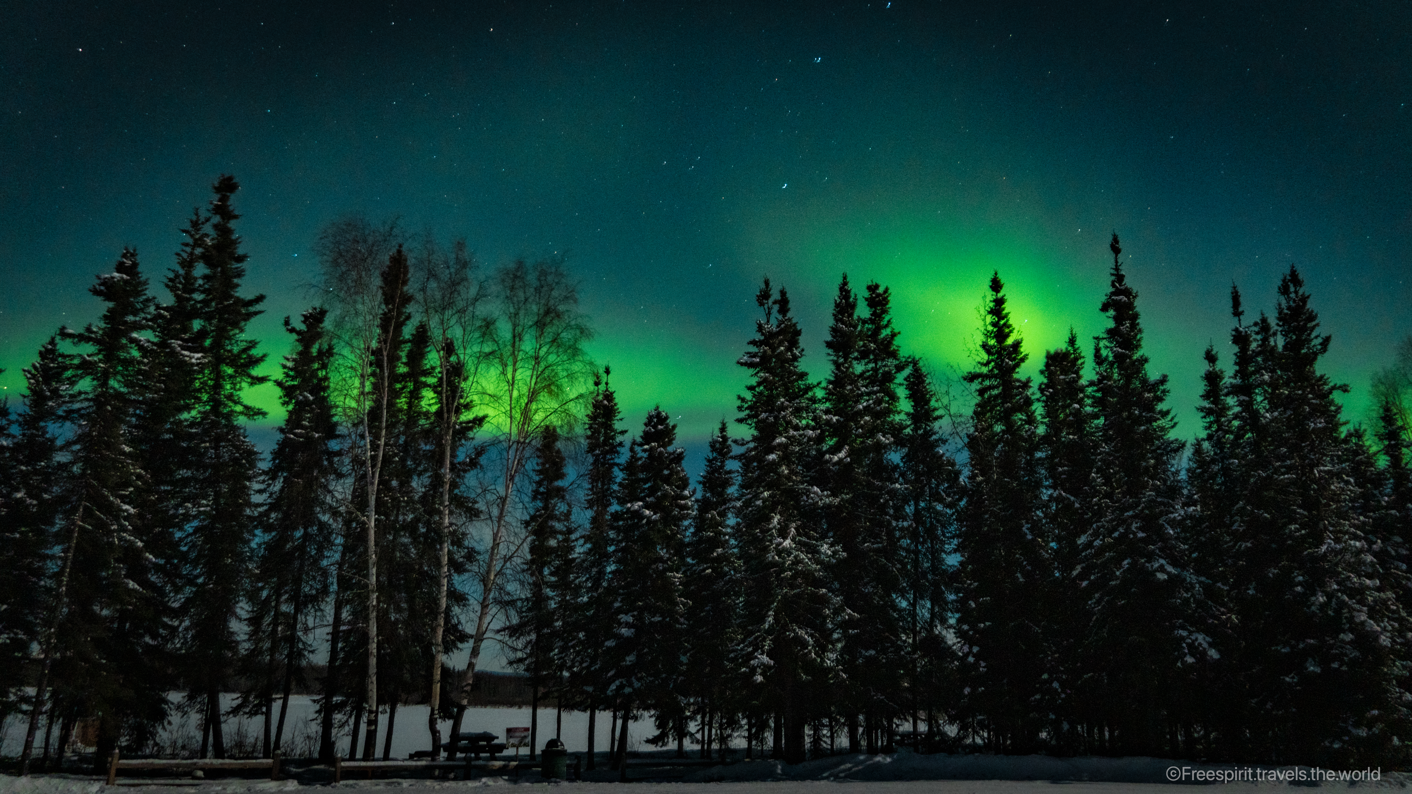 Alaska: A Caccia dell’Aurora Boreale a Fairbanks