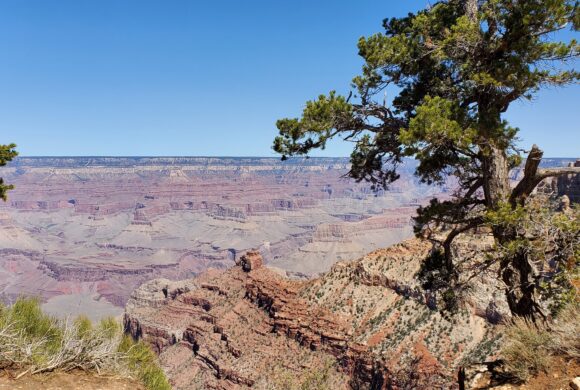 Sua maesta’ il Grand Canyon